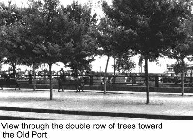 View through the double row of trees toward the Old Port.